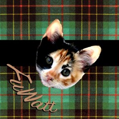 Calico Cat Blues(三毛猫ブルース)