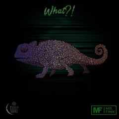 Mr. Fink - What! (Original Mix)