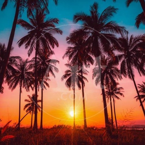 Bigg Frankii Ft Baron - Sega Tioula By (SELEKTA MIX) 2019 Preview
