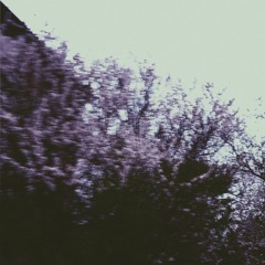 Enshrouded by April Veil