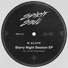 M - Scape - Starry Night Session (Art Of Tones Remix)[snippet]