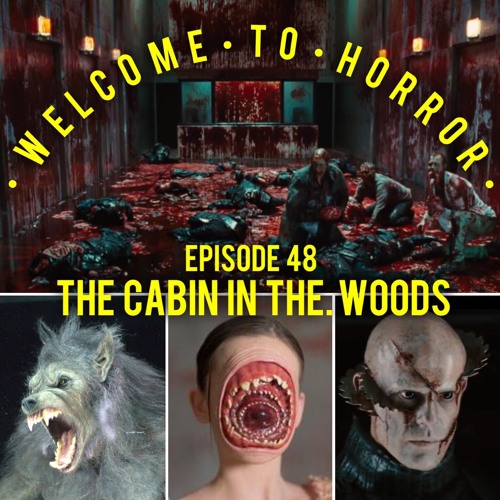048 Cabin In The Woods