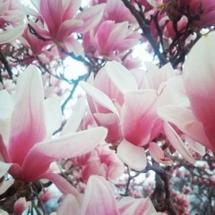 "On the way" - Sway Realms X Don Louie (preview/rough recording)