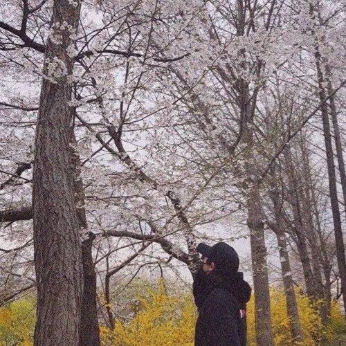 Em Lại Nhớ Anh Rồi - Mộng Nhiên