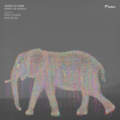 Senses of Mind - Spirits of Africa (Pole Folder Remix)