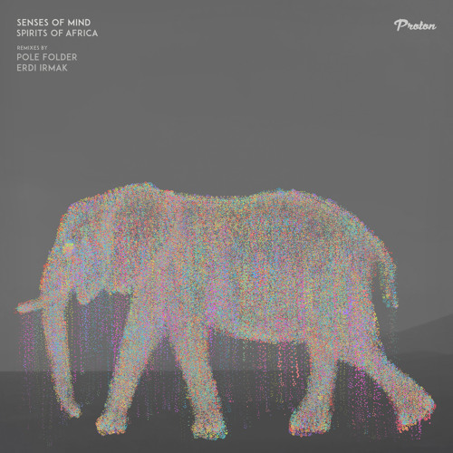 Senses of Mind - Spirits of Africa (Pole Folder Remix)
