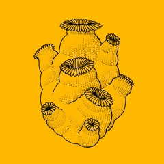 Premiere: Elijah Minelli - Bebé Durmiendo Cumbia