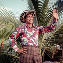 La Pava Congona -  Fruko y sus Tesos. canta: Alcides Dìaz