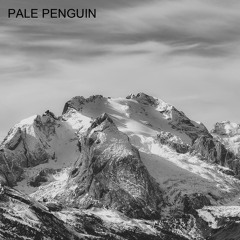 Deep-Bazar Podcast # 82 PALE PENGUIN