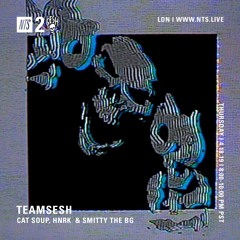TeamSesh NTS 18th April 2019: Smitty The BG, cat soup & hnrk