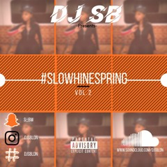 #SLOWHINESPRINGVOL.2 2019 |@DJSBLDN| @S_BW (Vybz Kartel, Popcaan, Dexta Daps, IQ)