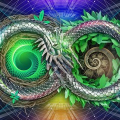 POGO – Reincarnations | Album Presentation | Nano Records Series Vol.50 | 19/04/2019