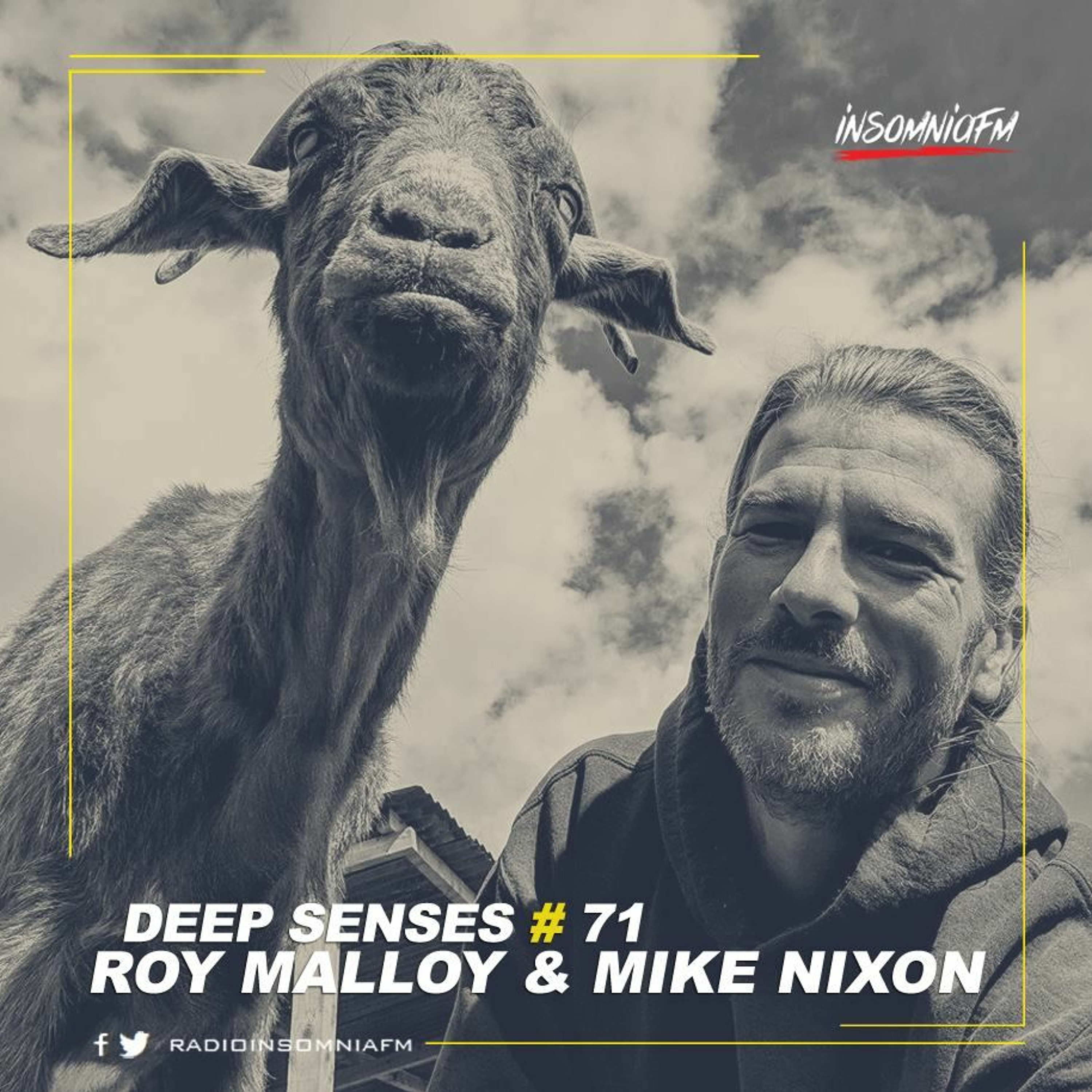 Roy Malloy - Deep Senses