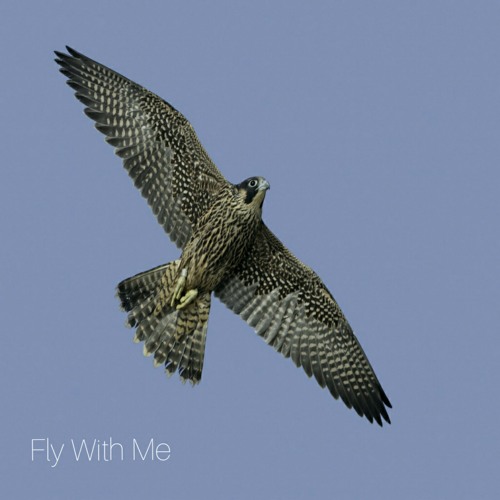 Fly With Me