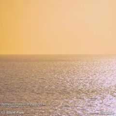 Nemeton - Ocean of Plasticity