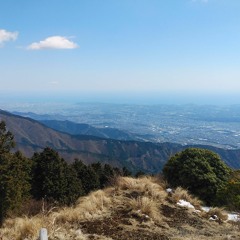 セキトウオウリョクセイランシ