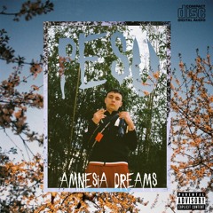 Amnesia Dreams