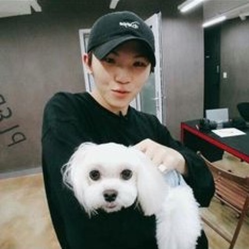 Woozi Seventeen Simple By Lara