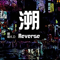 K.D 翻唱《溯 Reverse》