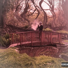 Do Better (Prod. by Palaze X Eng. by @nexussoundstudio)