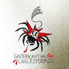 GASTERACANTHA CANCRIFORMIS (PROD. SOLSA X WENDIGO)