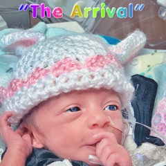 The Arrival