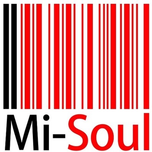 Mi-Soul Harness SNMM 004 Pt #2