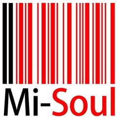 Mi-Soul Harness SNMM 004 Pt#1