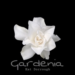 Gardenia - Cover (Kat Dorrough)