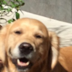 Strange Touch (demo)