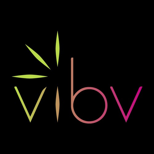 vibv - vibv - Passenger Free MP3 Download