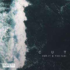 Amr.it & Yas (LB) - Cut (Original Mix)