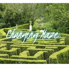 Changing Maze Feat FrikhanMusic