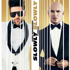 SLOWLY SLOWLY Guru Randhawa Ft. Pitbull Bhushan Kumar DJ Shadow, Blackout, Vee, DJ MoneyWi