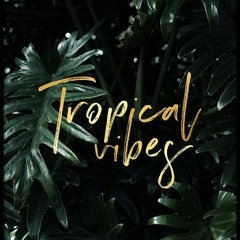 (FREE)Tropical Vibes - J hus ft Kojo Funds Type Beat