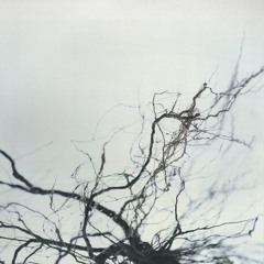 Yutaka Hirose - Nova [LP] [Trailer]