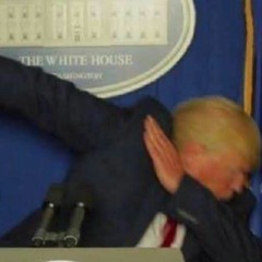 Little Experimenticstyles 1/2