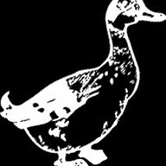 Can Hlubek (Animal Swing Kid) - Donner Ducks (Promocast)