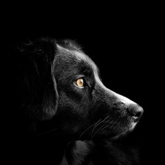 [free beat/무료비트] Virtue / 긴장감 있는 / Prod. by Sigharrhea