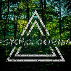 Psycholocibina - Superação 178bpm