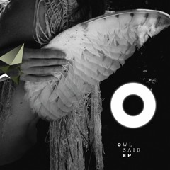 Owl Said | FIRE MIST
