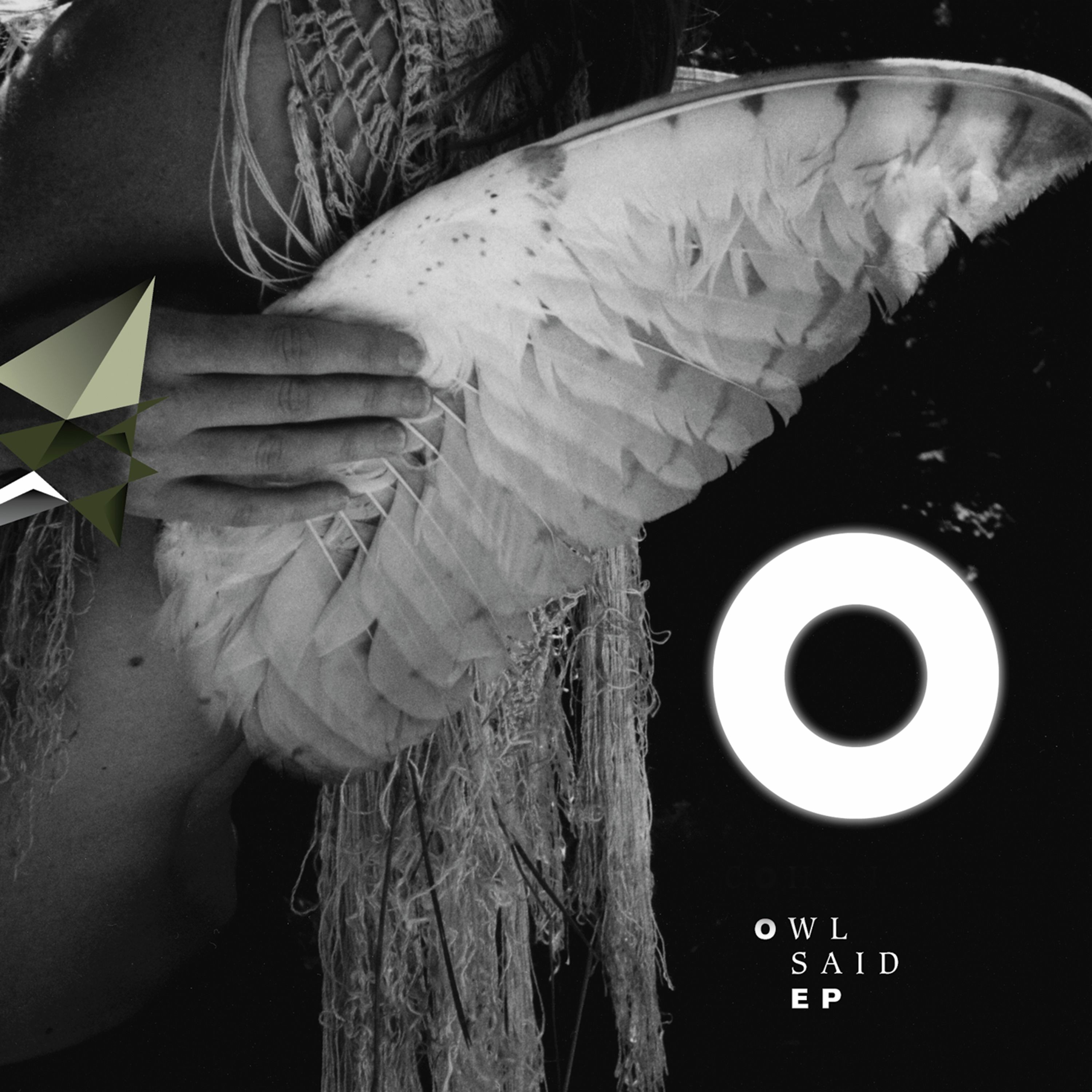 Owl Said | FIRE MIST episode artwork