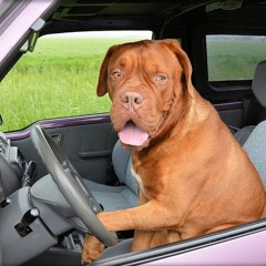 BMW * hey simon * BMW  - Ft Gloso Gloso