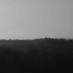 Mondlicht