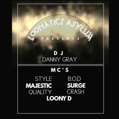Loonatics Asylum Promo Set 2.2