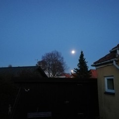 Hvilepuls