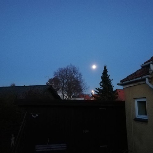 Hvilepuls
