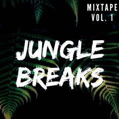 JUNGLE TERROR & BREAKS MIXTAPE VOL. 1