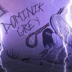 Dominik Grey - S Tebou (Demo Leak-Studio Version)