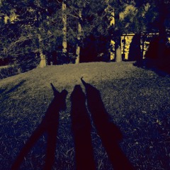 Destructive Seasons